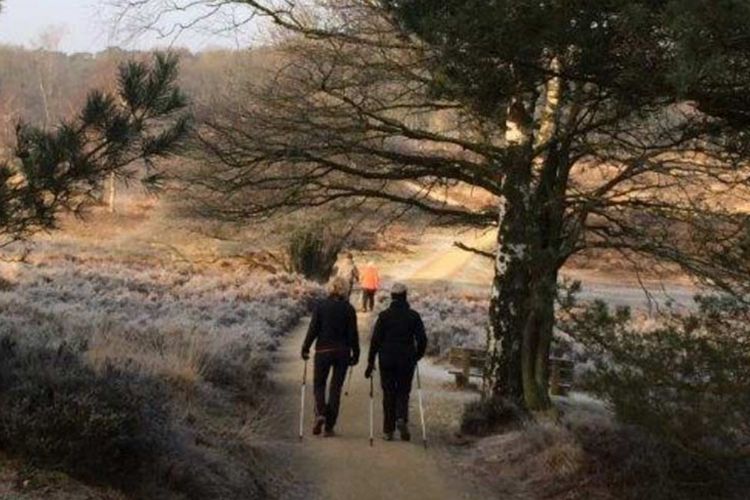 Bewegen in Arnhem, sportkaart, wandelen